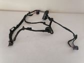 Rear door wiring loom