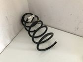 Front coil spring