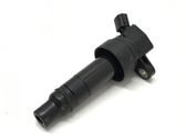 High voltage ignition coil