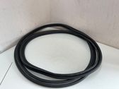 Trunk rubber seal (body)