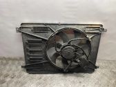 Electric radiator cooling fan