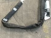 Roof airbag