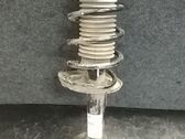 Front shock absorber/damper