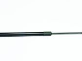 Tailgate/trunk strut/damper