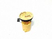 Kraftstoffpumpe im Tank