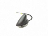 Radion antenni
