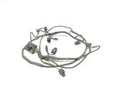 Other wiring loom