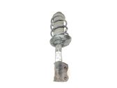 Front shock absorber/damper