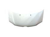 Motorhaube