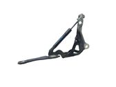 Engine bonnet/hood hinges