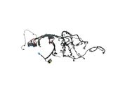 Engine installation wiring loom