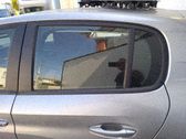 Rear door window glass