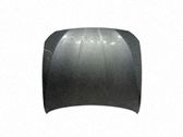 Engine bonnet/hood