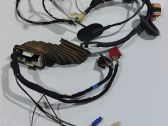 Front door wiring loom