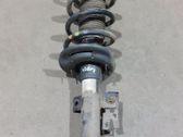 Front shock absorber/damper