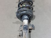 Front shock absorber/damper
