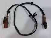 Sonde lambda