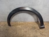 Fender trim (molding)