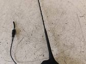 Radion antenni