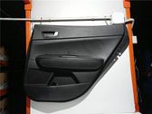Moldura del tarjetero de la puerta trasera