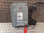 Engine control unit/module ECU