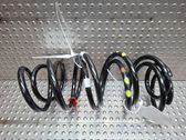 Front coil spring