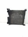 Intercooler radiator