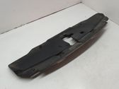 Radiator trim
