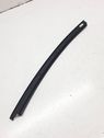 Rear door glass trim molding