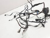 Front door wiring loom