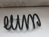 Front coil spring