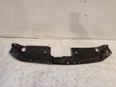 Radiator trim