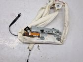 Roof airbag