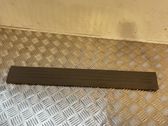 Front sill trim cover
