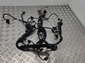 Engine installation wiring loom