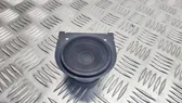 Rear door speaker