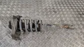 Front shock absorber with coil spring