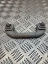 Front interior roof grab handle