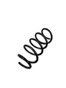 Front coil spring