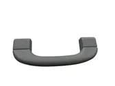 Front interior roof grab handle