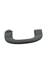 Front interior roof grab handle