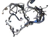 Engine installation wiring loom