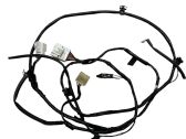 Other wiring loom