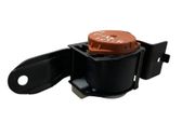 Roof seat belt