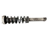 Rear shock absorber with coil spring