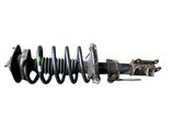 Front shock absorber with coil spring