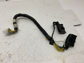Gearbox/transmission wiring loom
