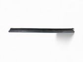 Windshield trim