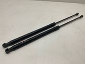 Tailgate/trunk strut/damper