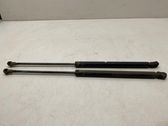Tailgate/trunk strut/damper